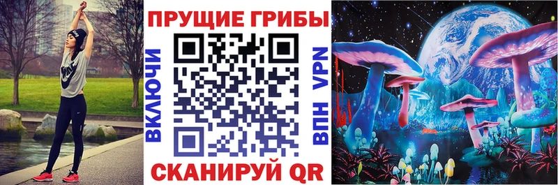 MEGA ссылка цена Галич Галлюциногенные грибы Psilocybe